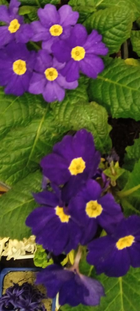 Photograph by Светлана