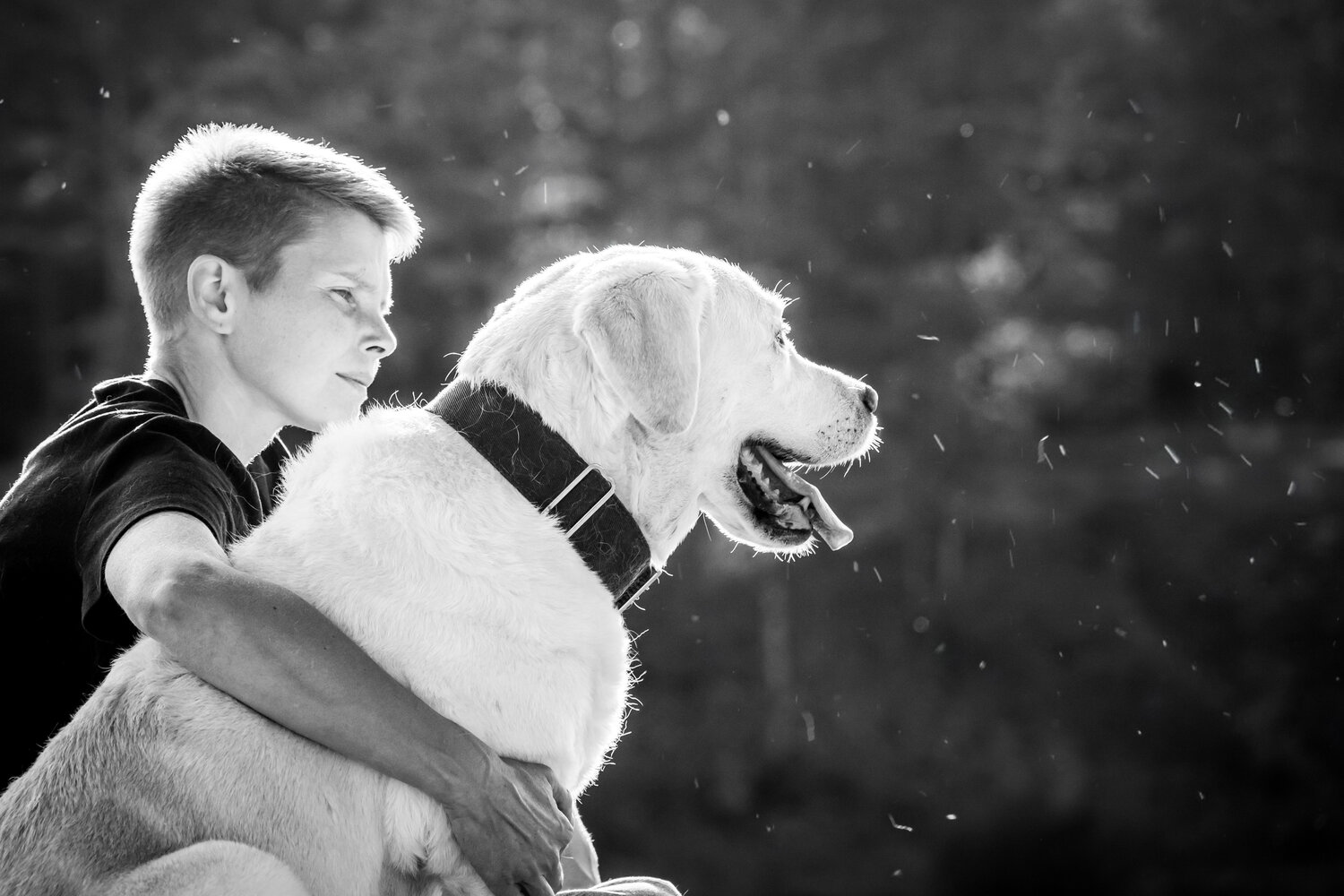 Photo #13165051