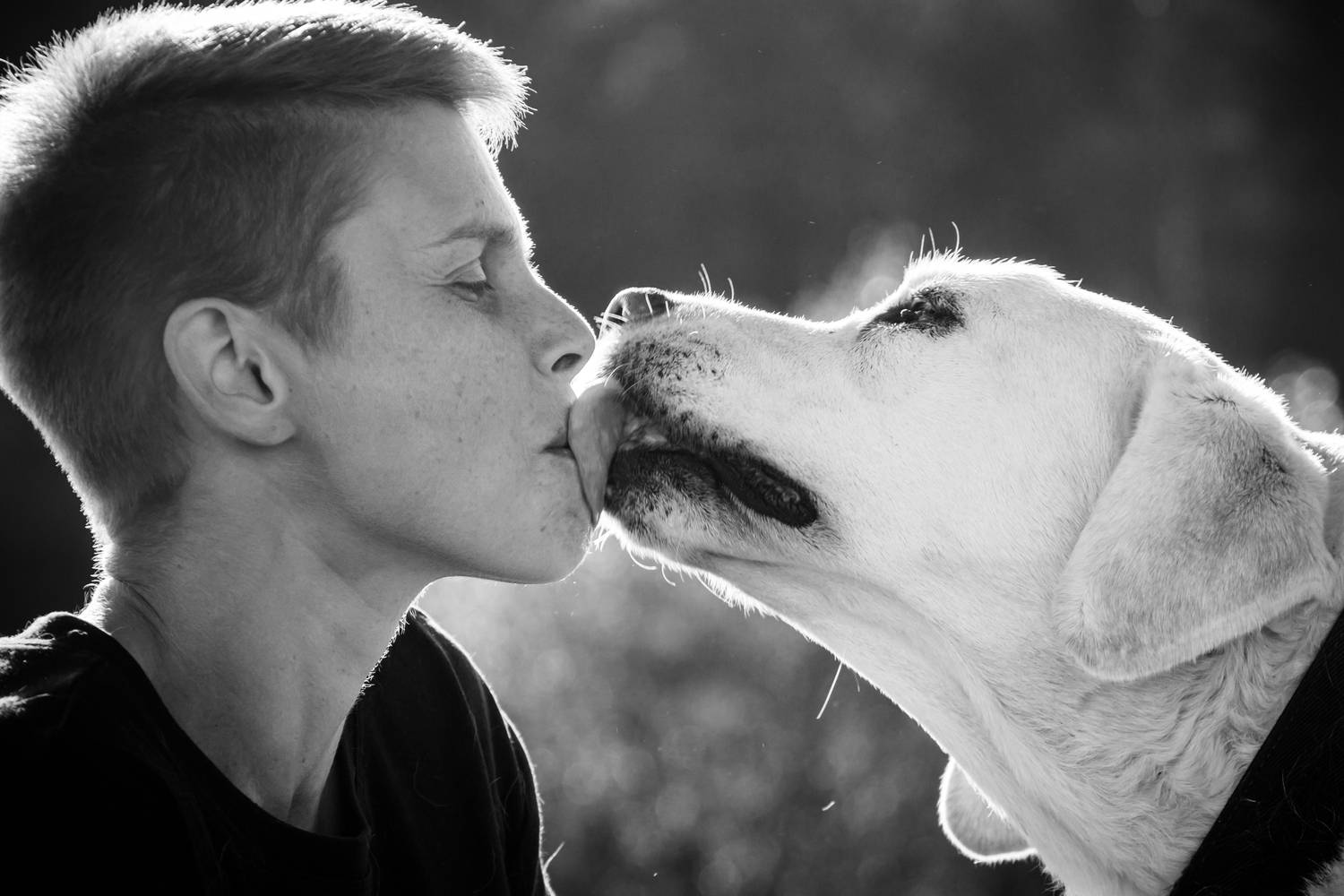 Photo #13165052