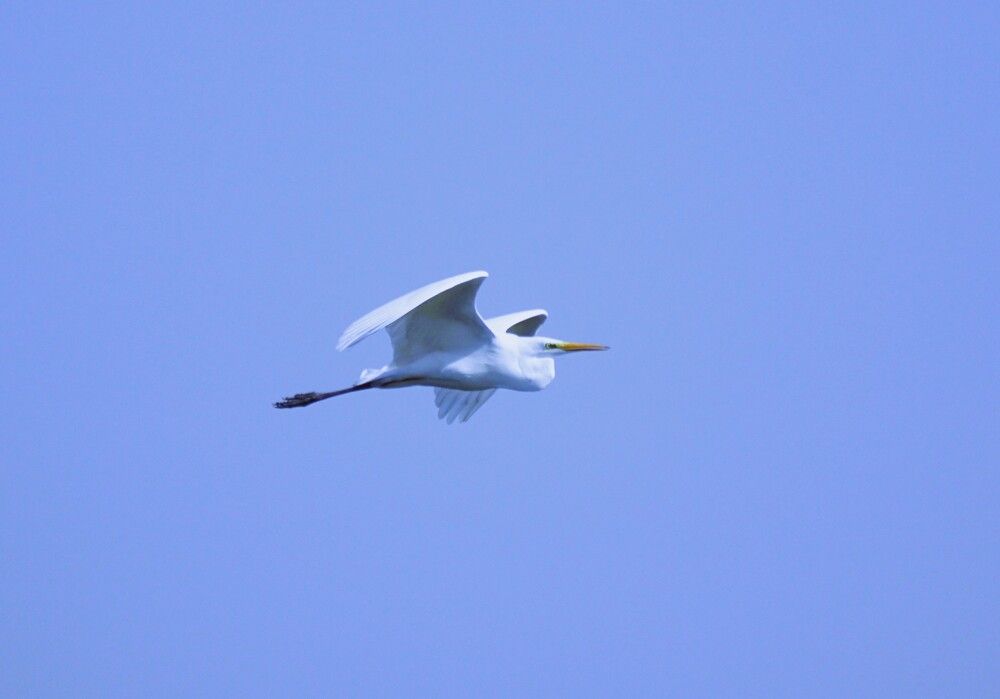 Photograph by Людмила Бутова