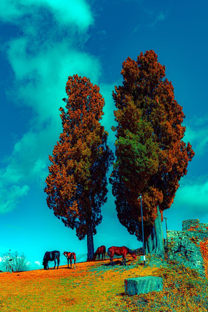 Photograph by Ирина Жебрун