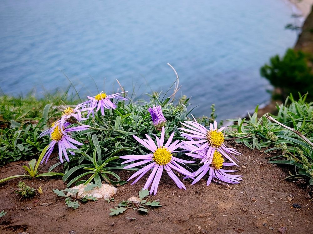 Photograph by Ольга Рыбина