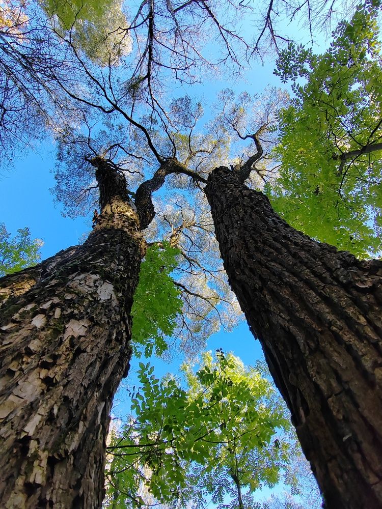 Photograph by Ольга Рыбина