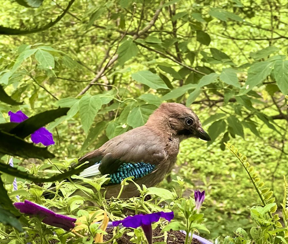 Photograph by Ирина Швейнова