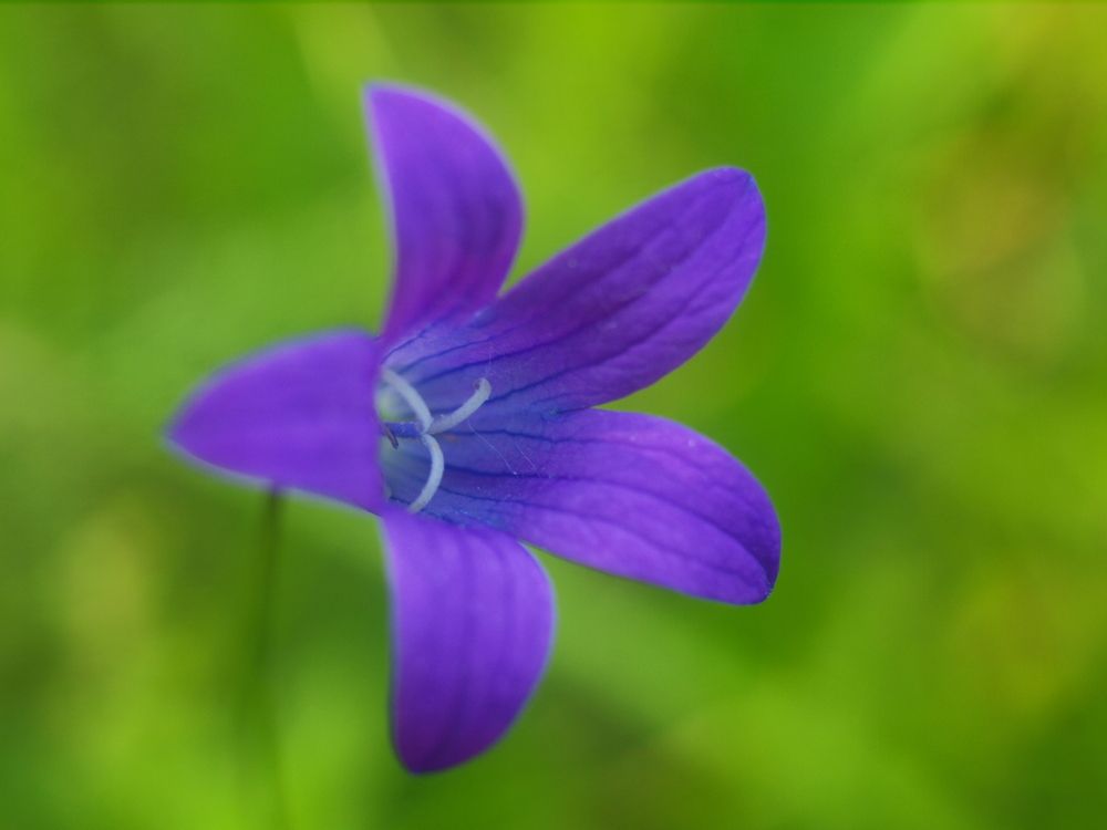 Photograph by Дмитрий Васючков