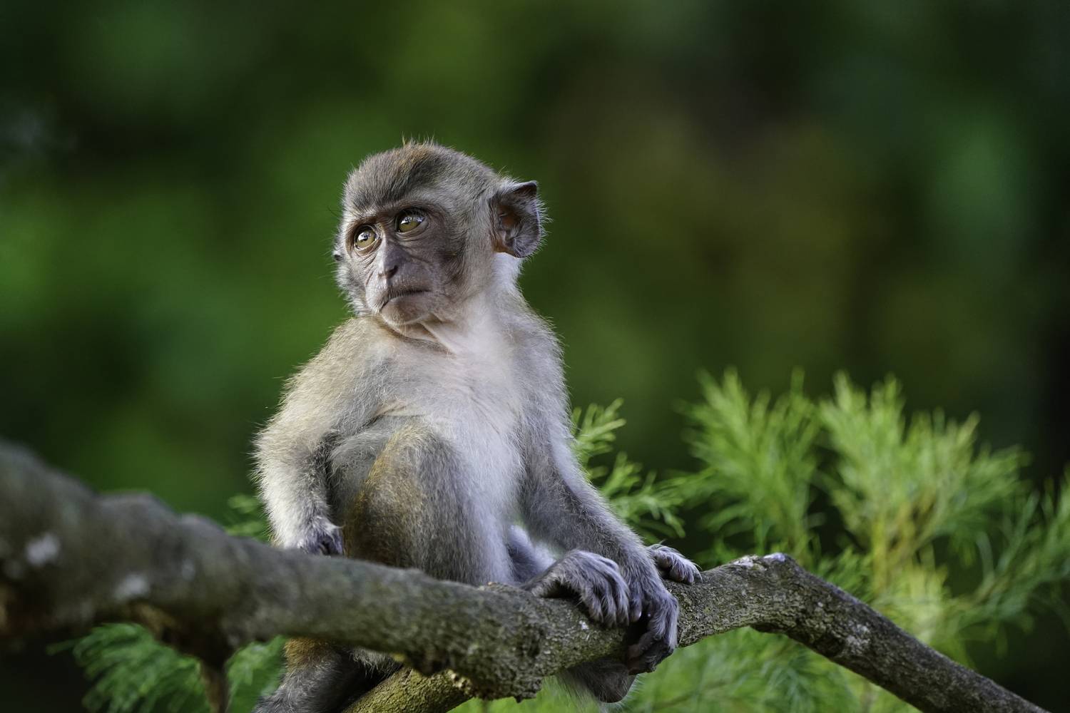 study of environment