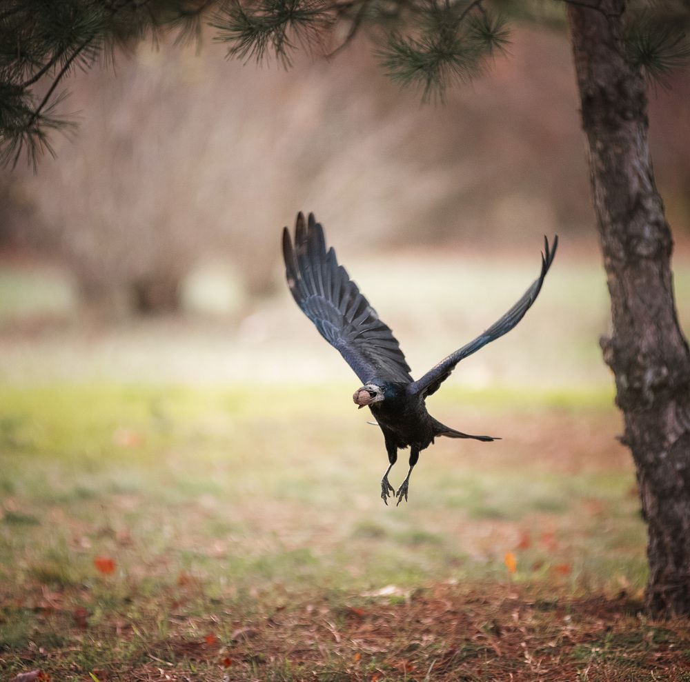 Photograph by Юлия Григорьева