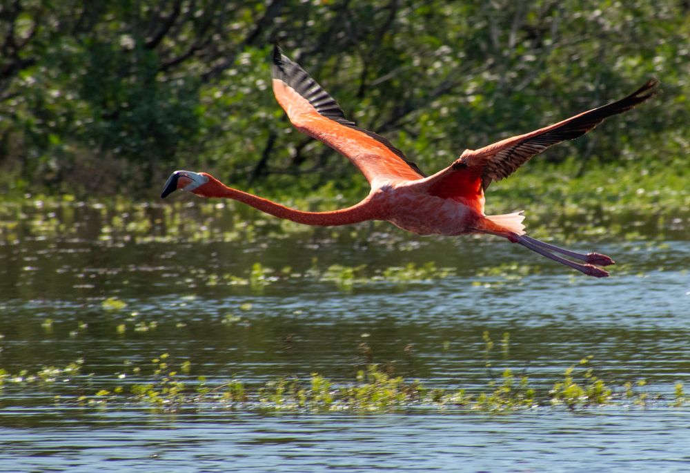 Photograph by Eddy Vittini