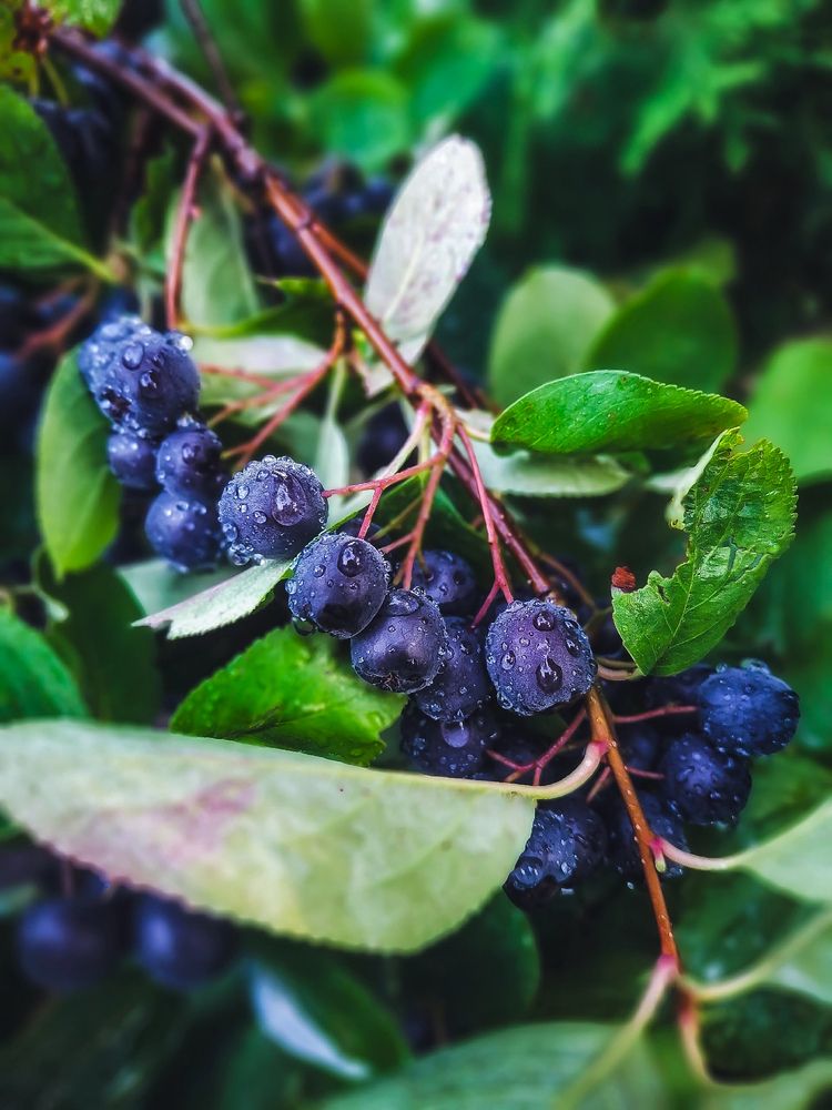 Photograph by Марина Мальцева