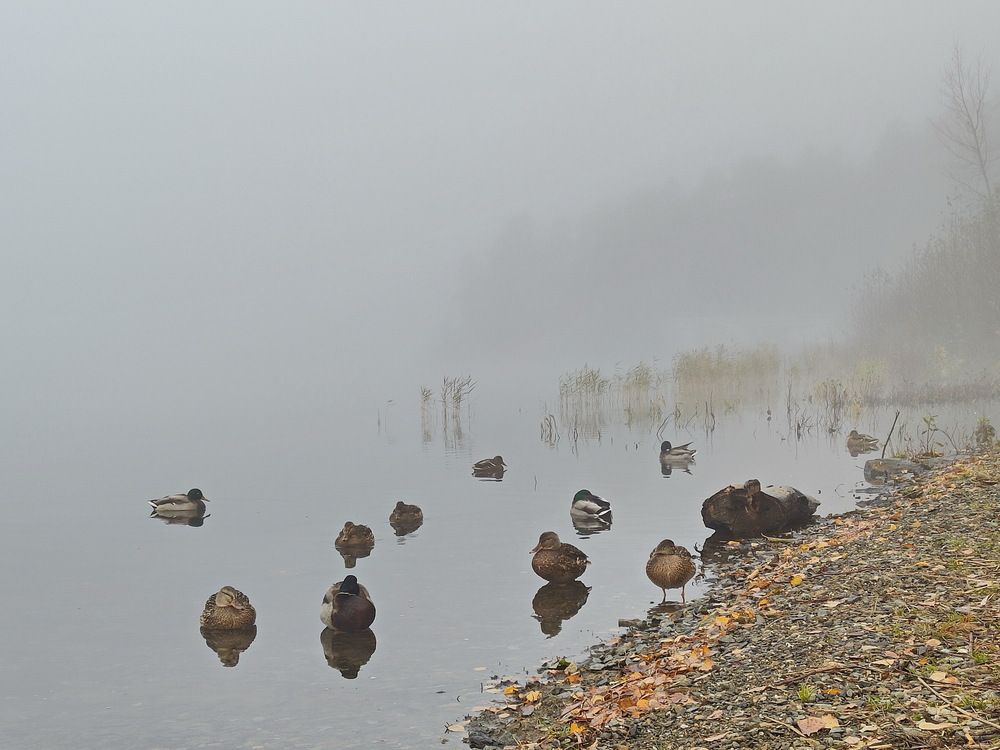 Photograph by Виталий Черепенькин