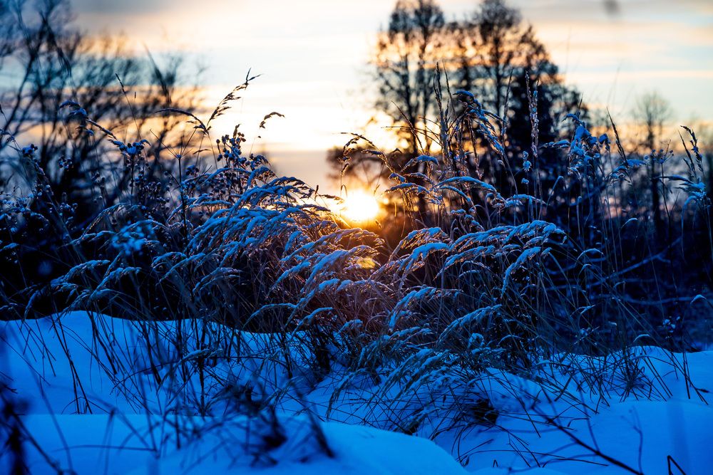 Photograph by Константин Бородулин