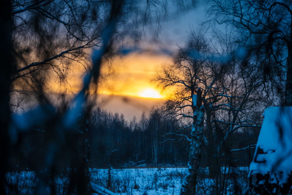 Photograph by Константин Бородулин