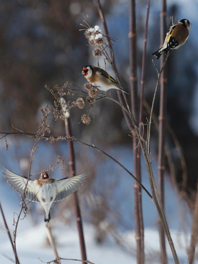 Photograph by Татьяна