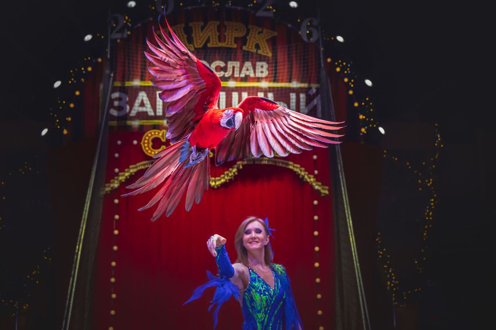 Photograph by Ольга Широкова