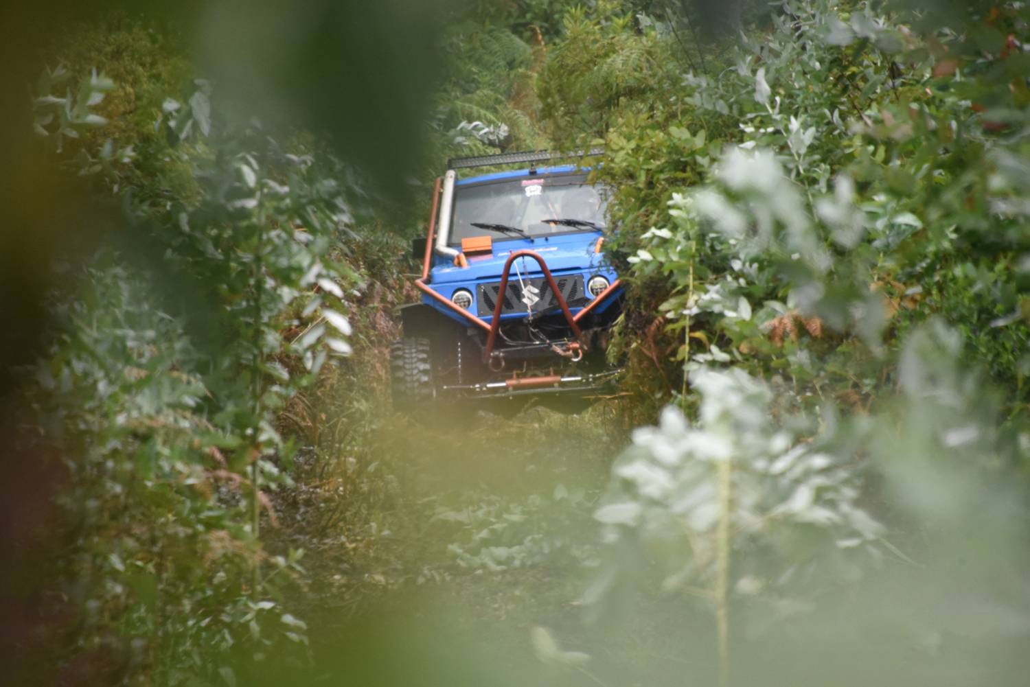 Фотография #13165198