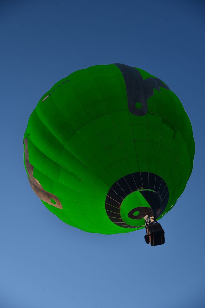 Фотография автора Camilo Martinez