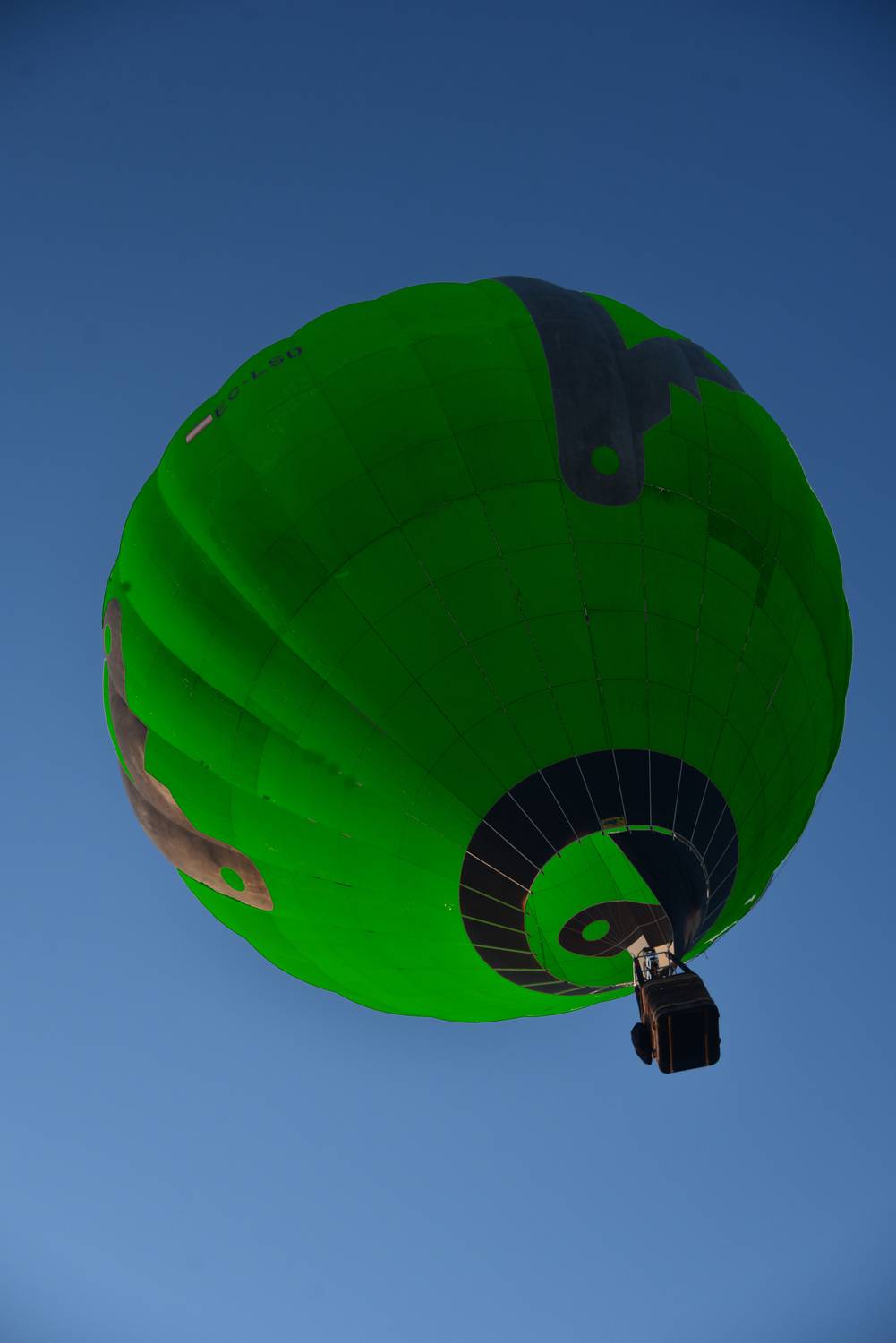 Фотография #13165210