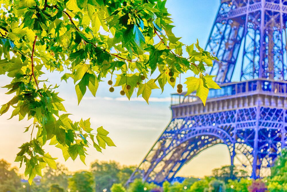 Photograph by Alexey Shaporin