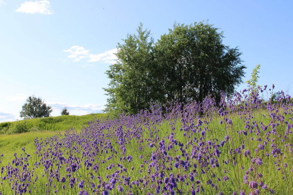 Photograph by Елена Коробченко