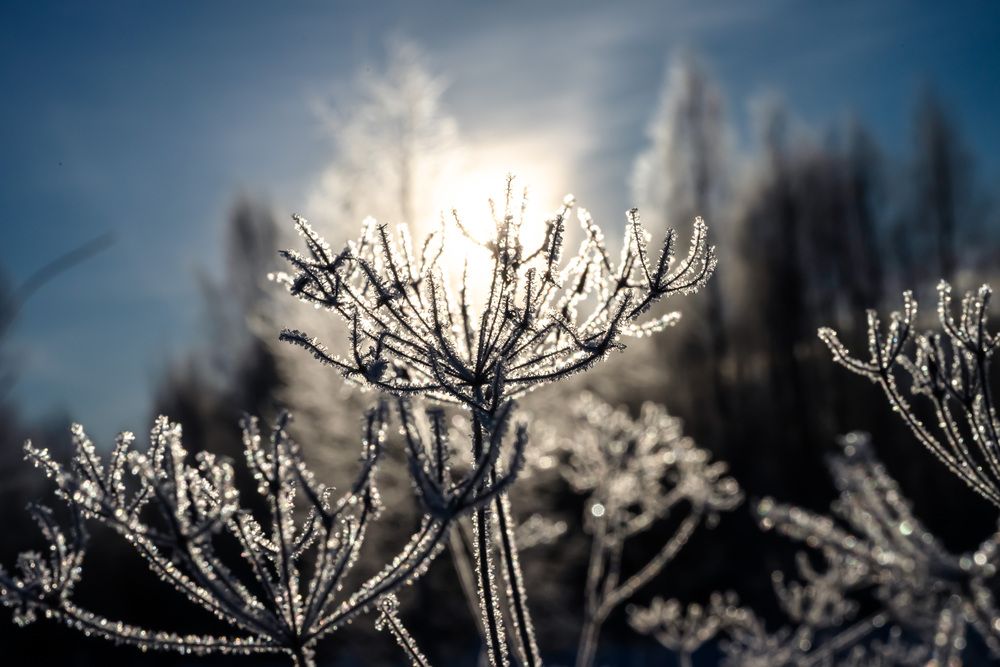 Обнимаю ? крепко солнышко.