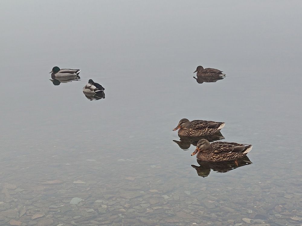 Photograph by Виталий Черепенькин