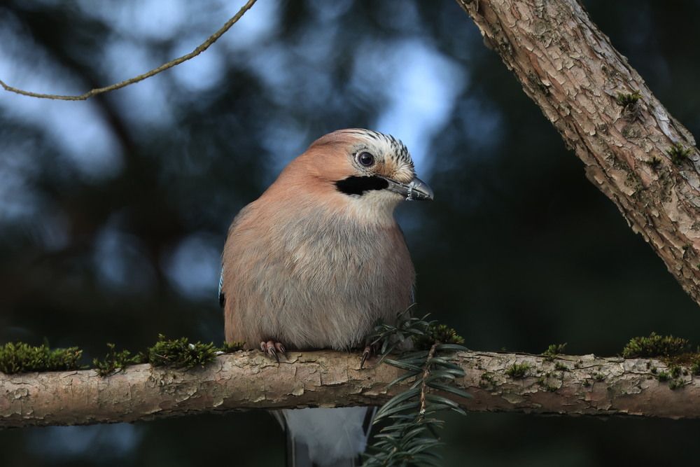 Photograph by Елизавета Цемко