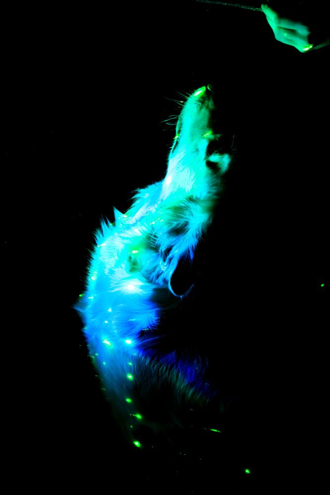 Photograph by Аня Проскурякова