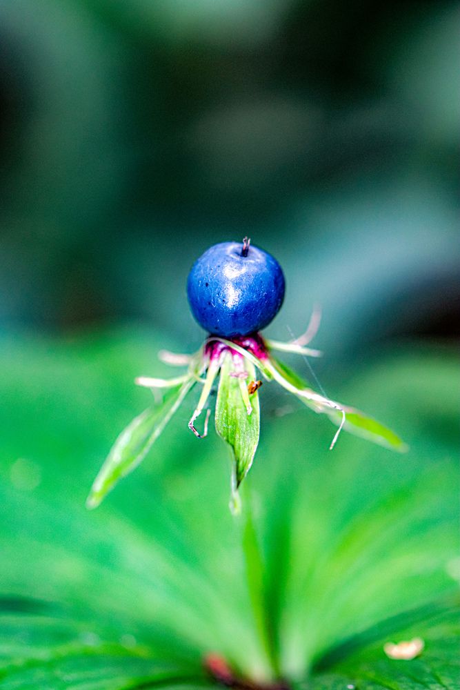 Photograph by Аня Проскурякова