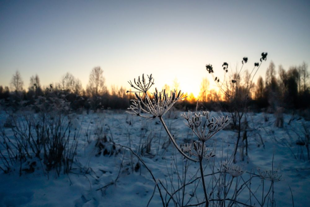 Photograph by Константин Бородулин