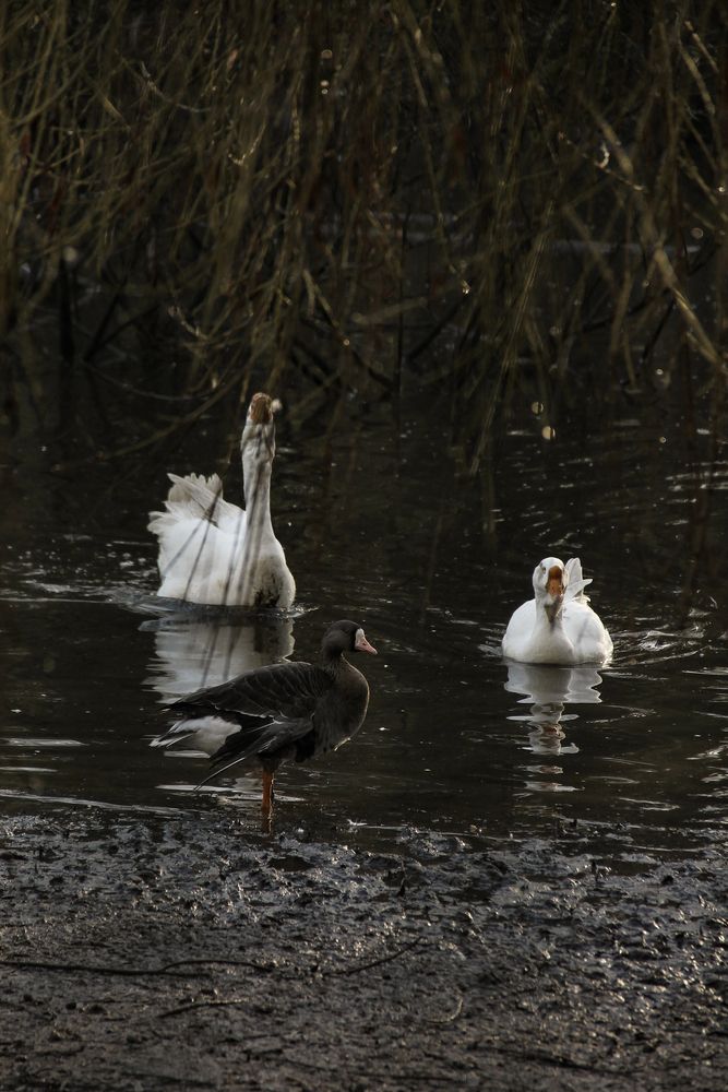 Photograph by Анастасия Псарёва