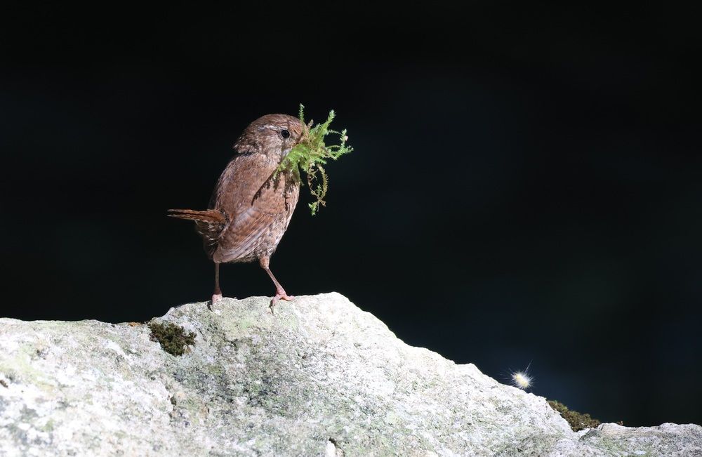 Photograph by Елизавета Цемко