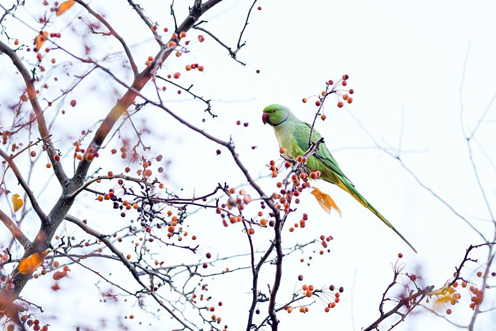 Photograph by müslüm Demirkul
