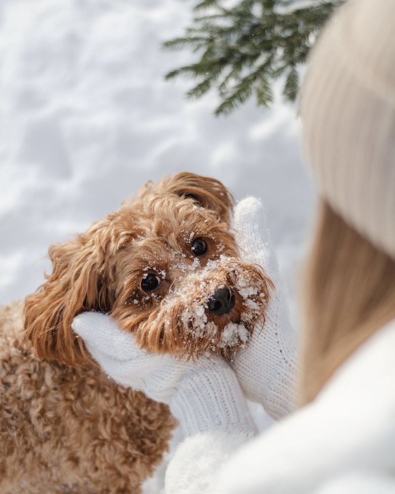 Photograph by Юлия Сидорова