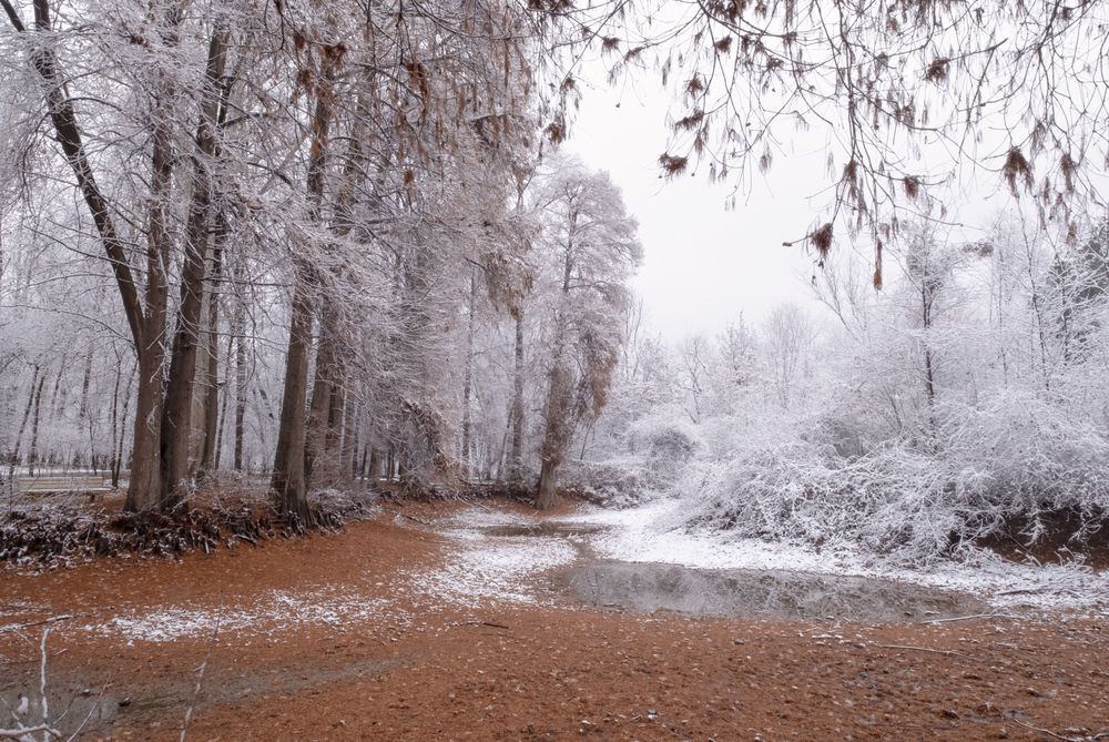 Фотография автора Abdulrahman Sawalha