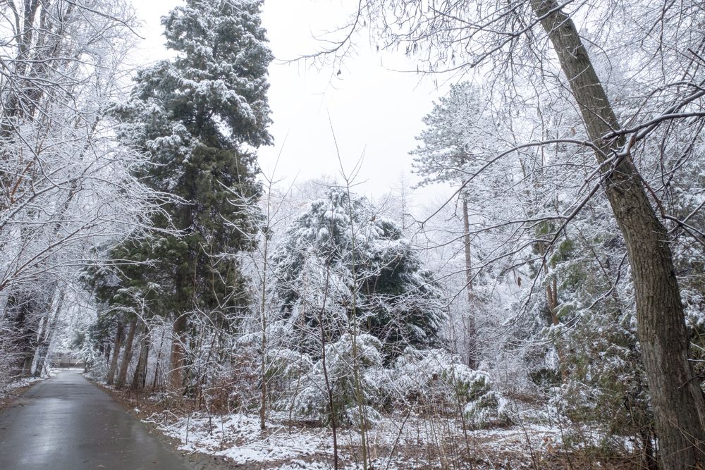 Фотография автора Abdulrahman Sawalha