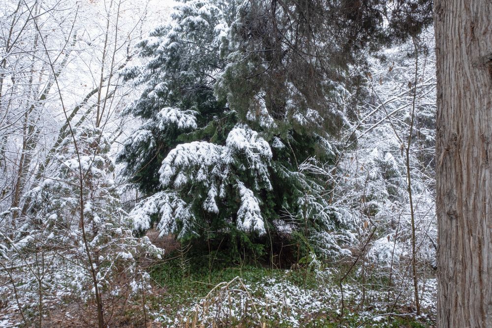 Фотография автора Abdulrahman Sawalha