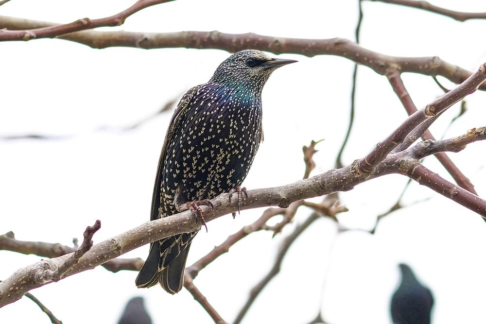 Photograph by müslüm Demirkul