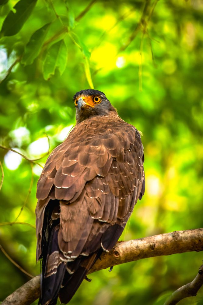 Photograph by Vita Potomova