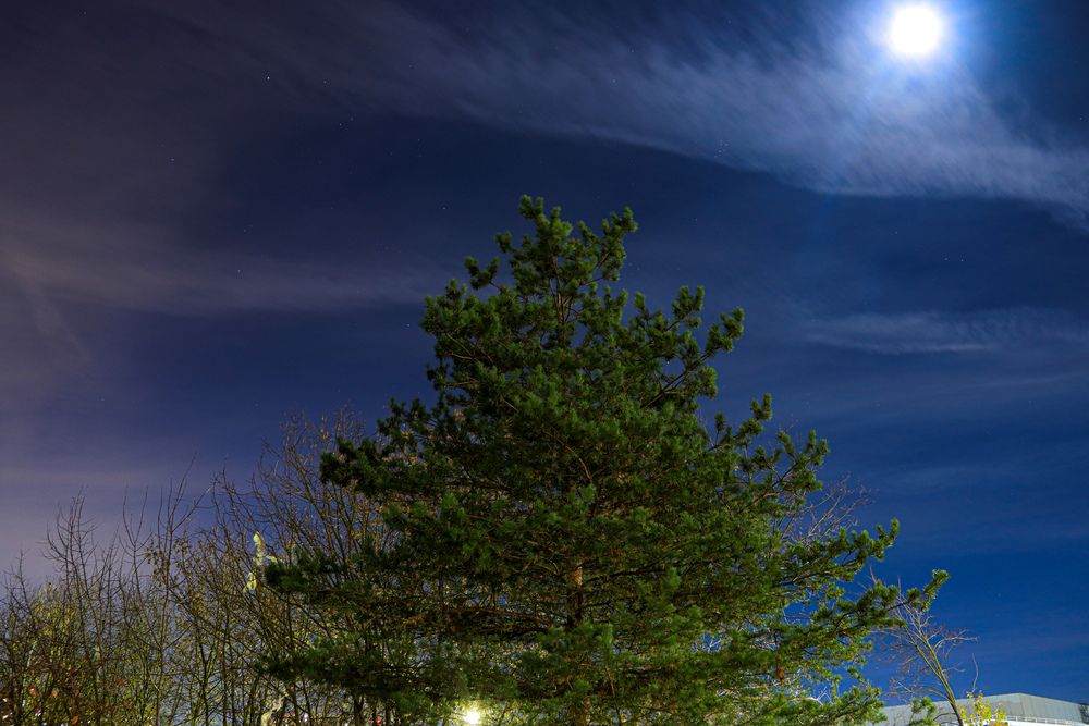 Photograph by Аня Проскурякова