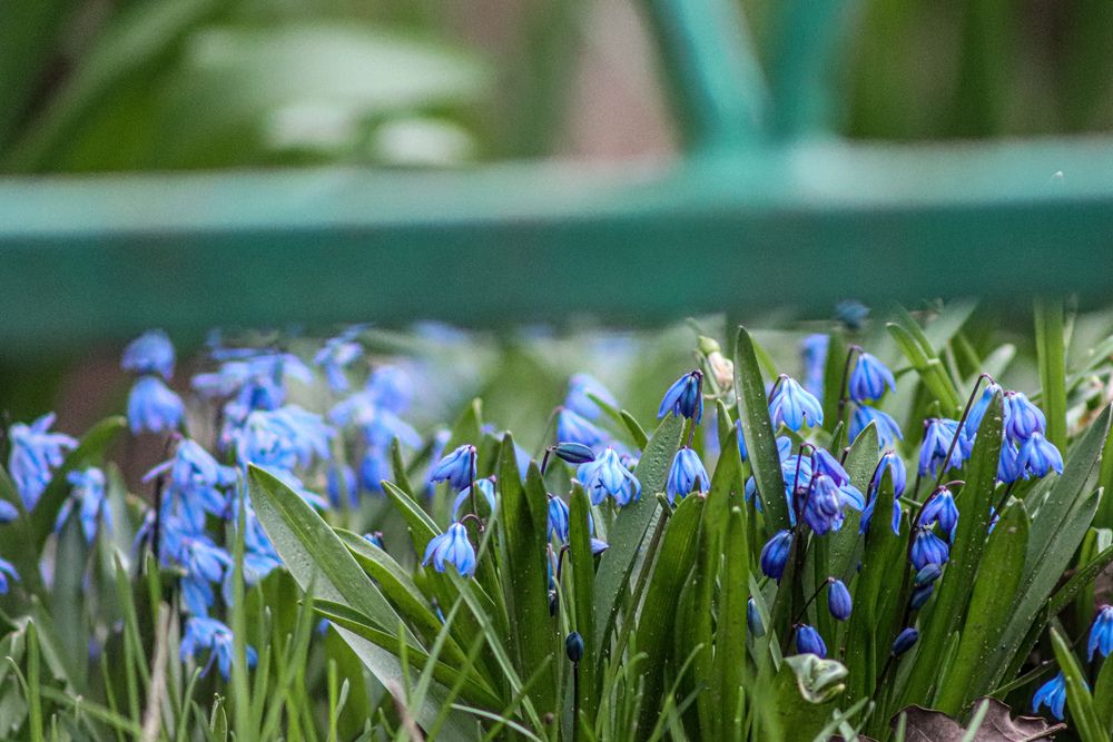 Photograph by Аня Проскурякова