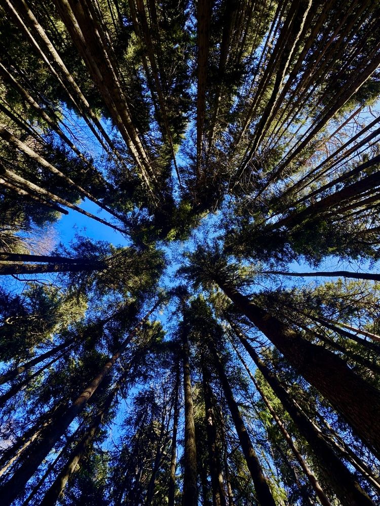 Фотография автора Марина Черникова