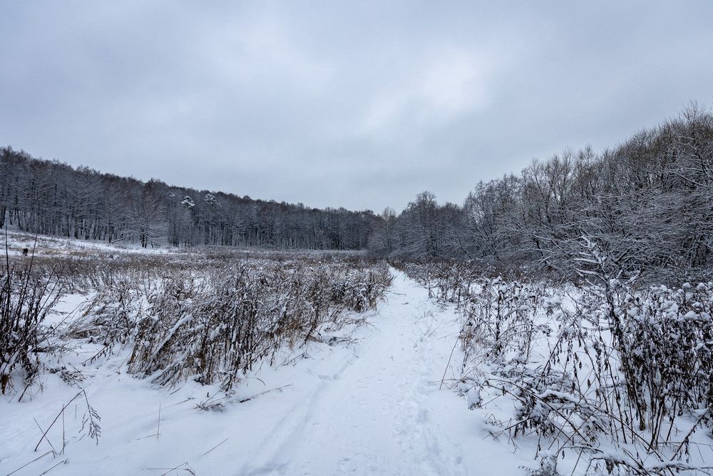 Photograph by Алексей Кацан