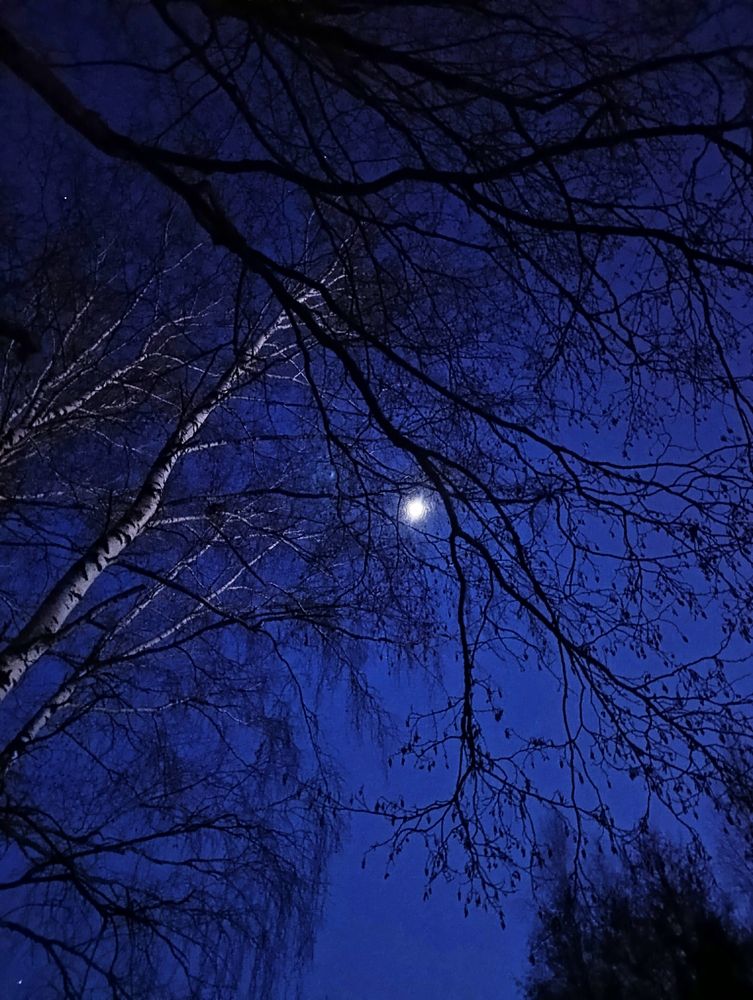 Photograph by Юлия