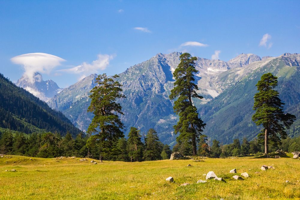 Фотография автора Алексей Соколов