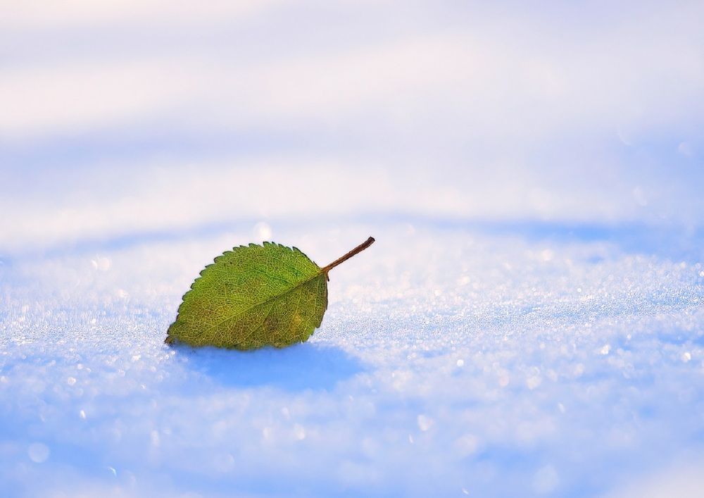 Photograph by Владимир