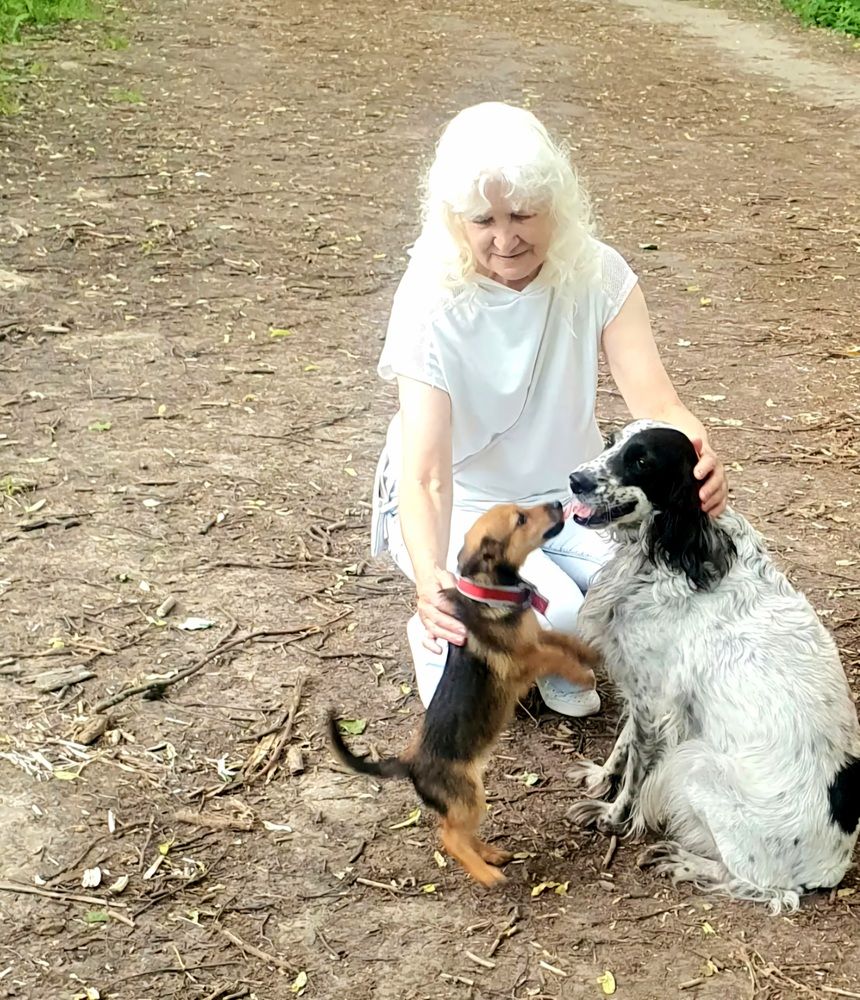 Лучшие друзья