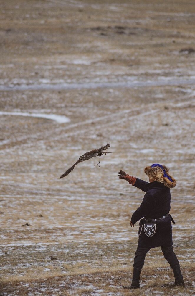 Photo #13165438
