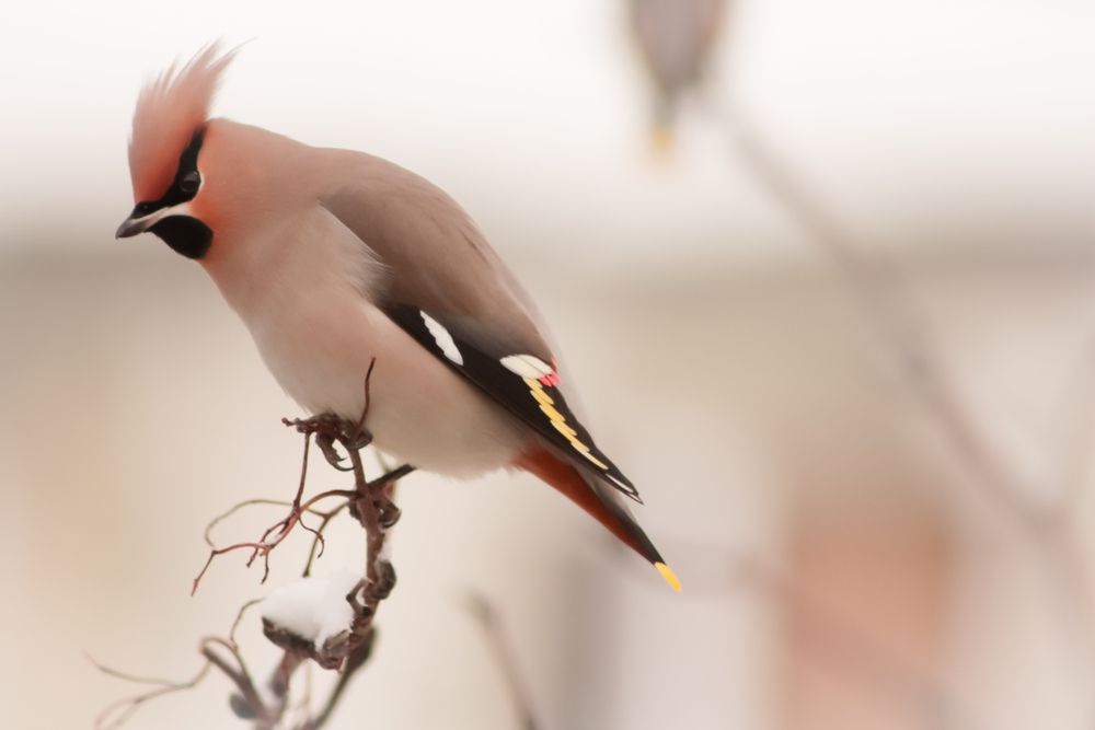 Photograph by Лилия Мархинина