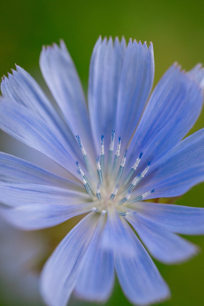 Photograph by Алексей Кацан