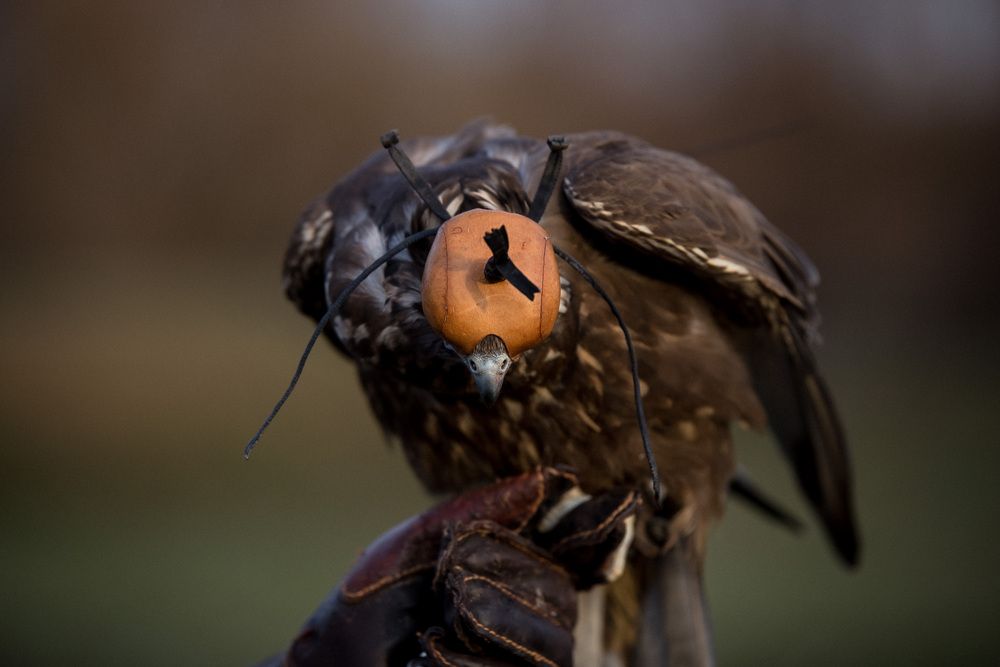 Photograph by Алексей Кацан